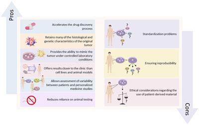 The future of cancer therapy: exploring the potential of patient-derived organoids in drug development